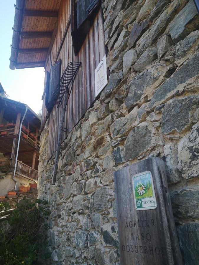Agritur Maso Gosserhof Frassilongo المظهر الخارجي الصورة